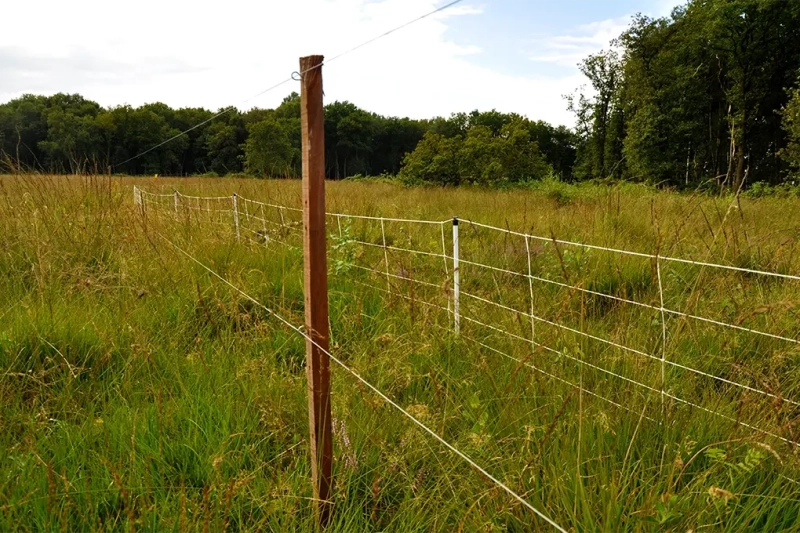Protection contre la faune et les nuisibles